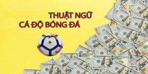 Thuat-ngu-ca-cuoc-bong-da-23WIN