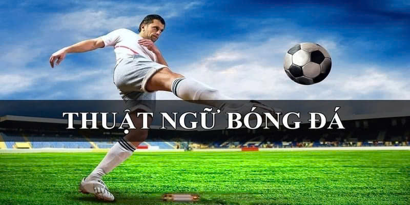 Tong-quan-giai-thich-thuat-ngu-ca-cuoc-bong-da