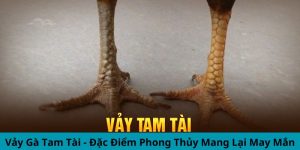 vay-ga-tam-tai-thumb